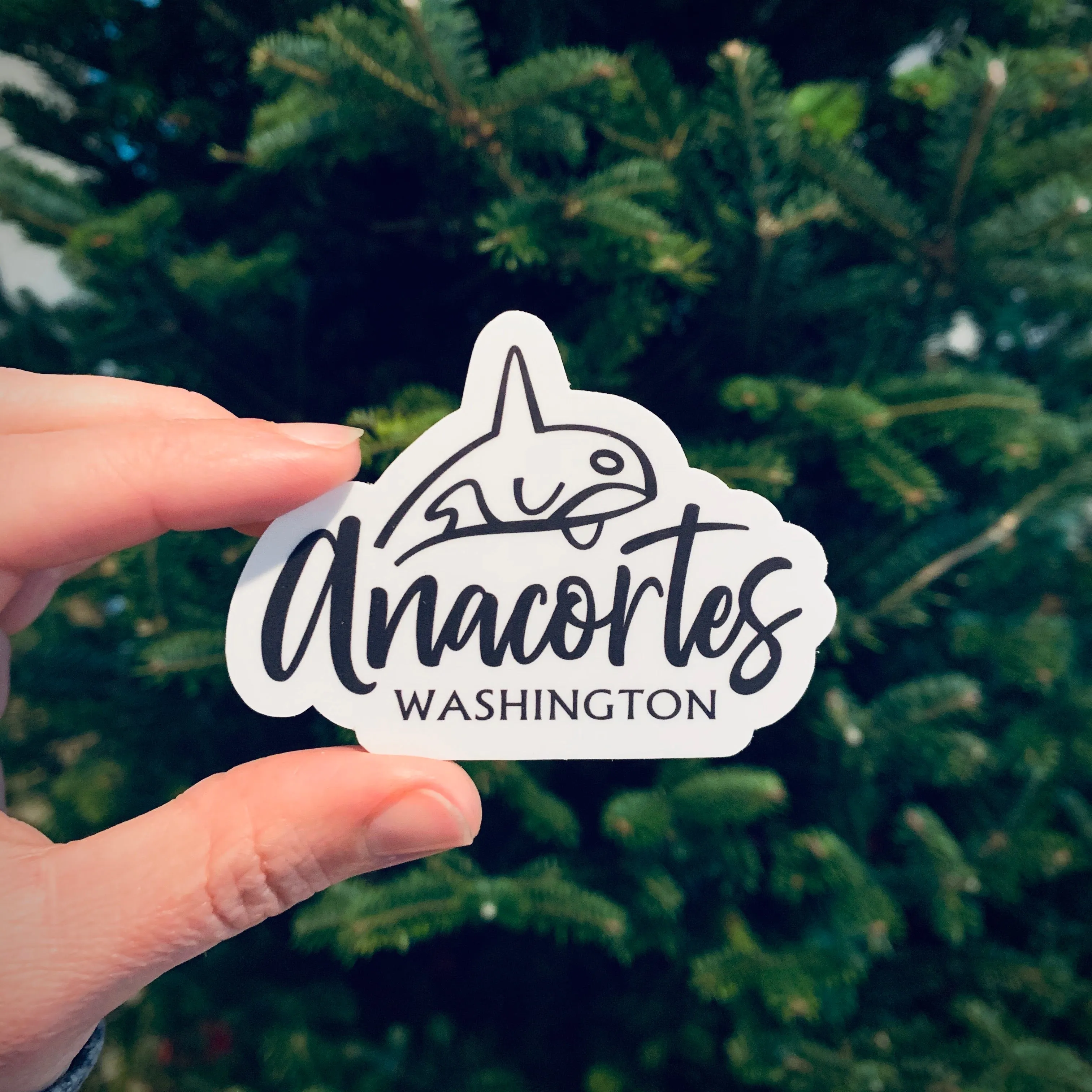 Anacortes Orca 3” Sticker / Decal
