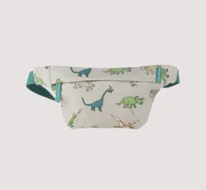Bum Bag Dinosaurs