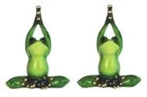 GC1032-FROG : n/box