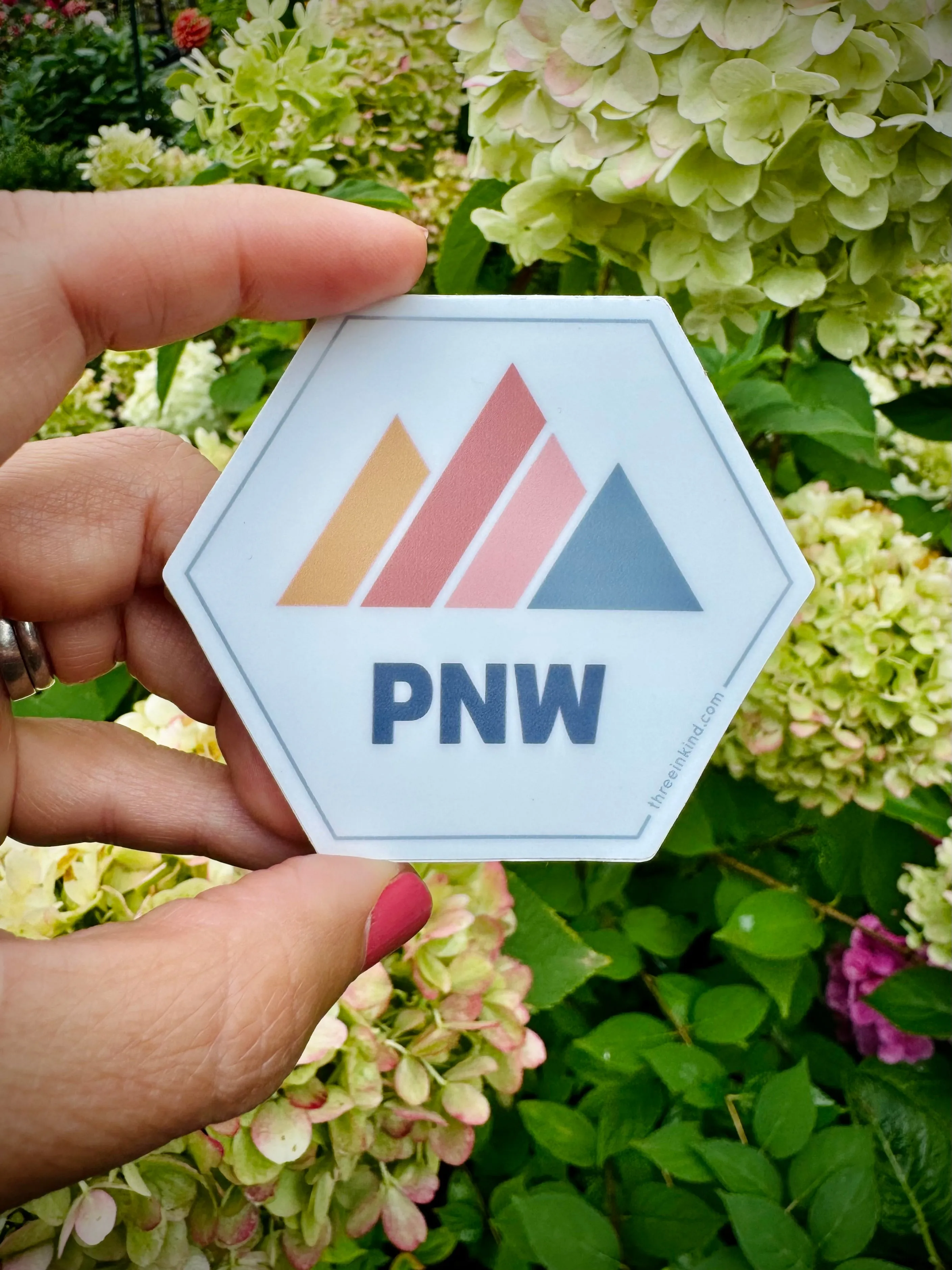 Hexagon PNW Color Block Mountains 3” Sticker / Decal