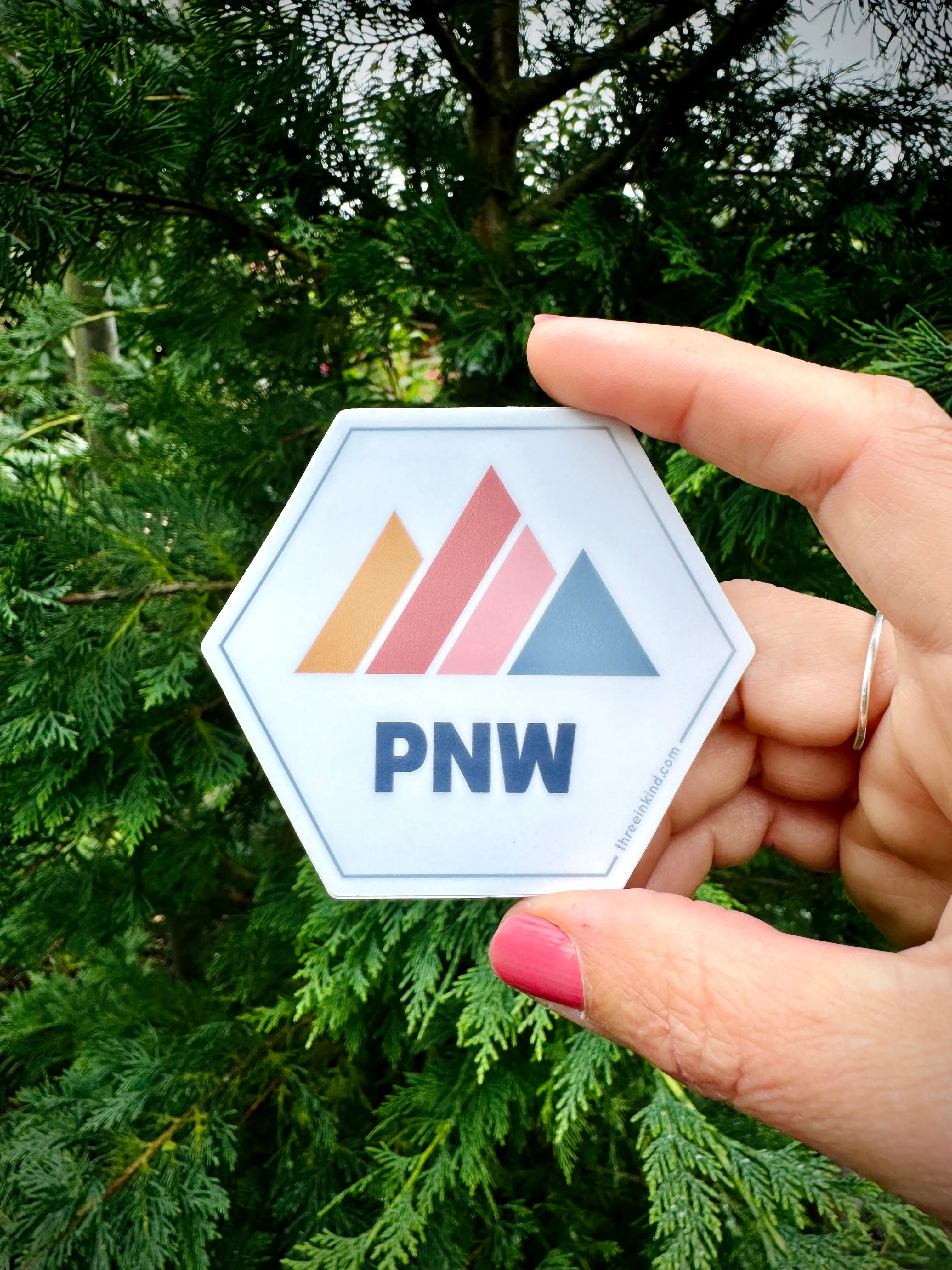 Hexagon PNW Color Block Mountains 3” Sticker / Decal