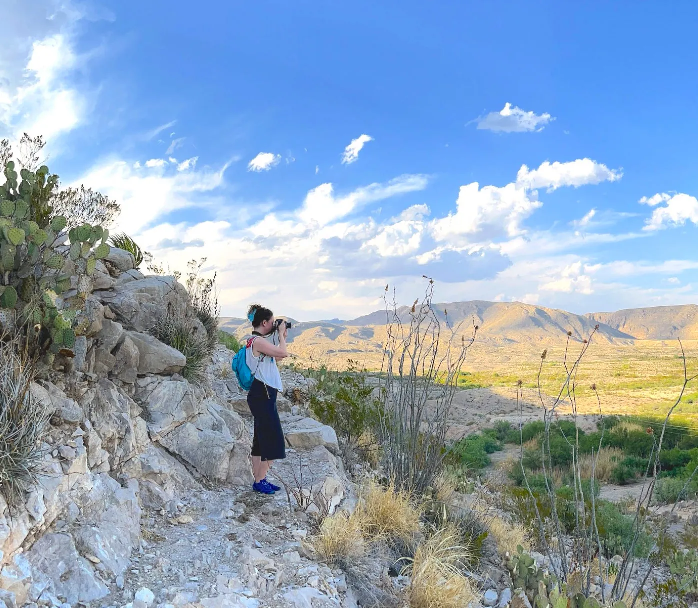 Hot Springs Trail Print