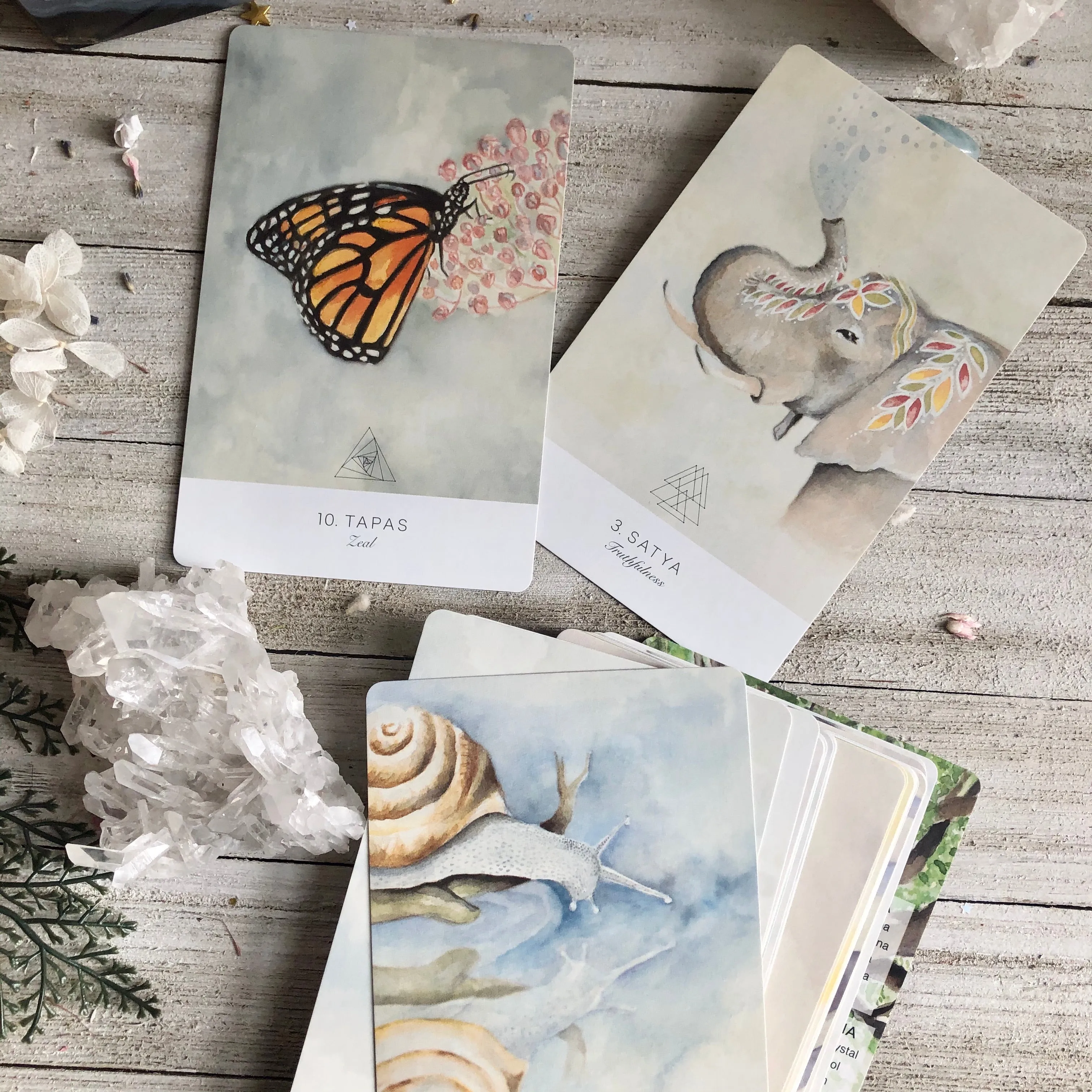 Land Sky Oracle Cards
