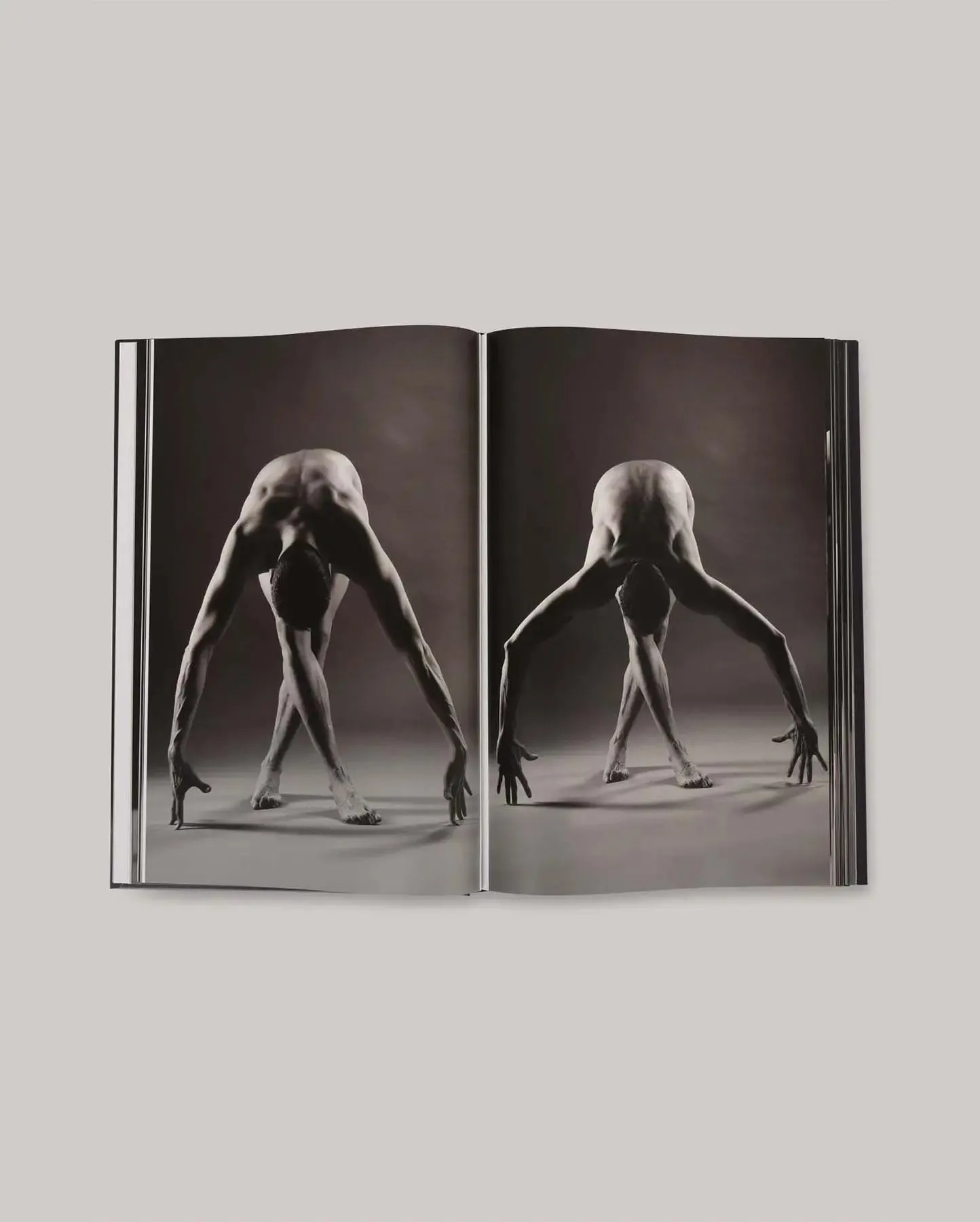 Livre d'art YOGASM par Anka, d'après l'idée d'Hélène Duval