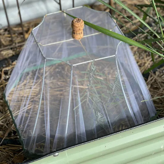 Multi-Purpose Food Cover