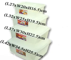 Multi-Purpose, Rectangle Container, 310x245x130mm
