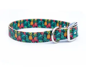 Pineapples BioThane® Collar