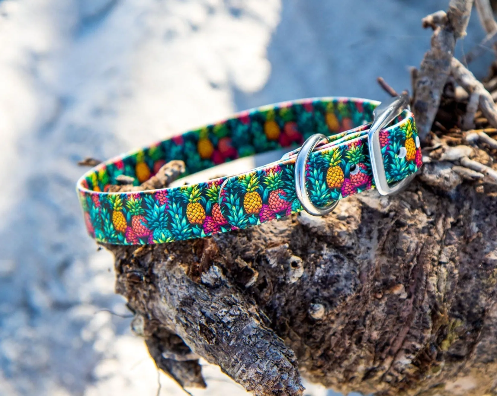 Pineapples BioThane® Collar