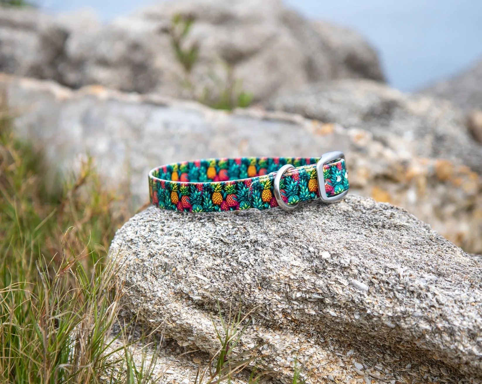 Pineapples BioThane® Collar