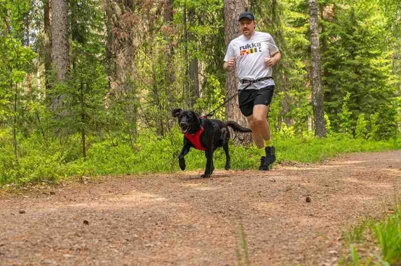 Rukka Pets Hike Harness Red