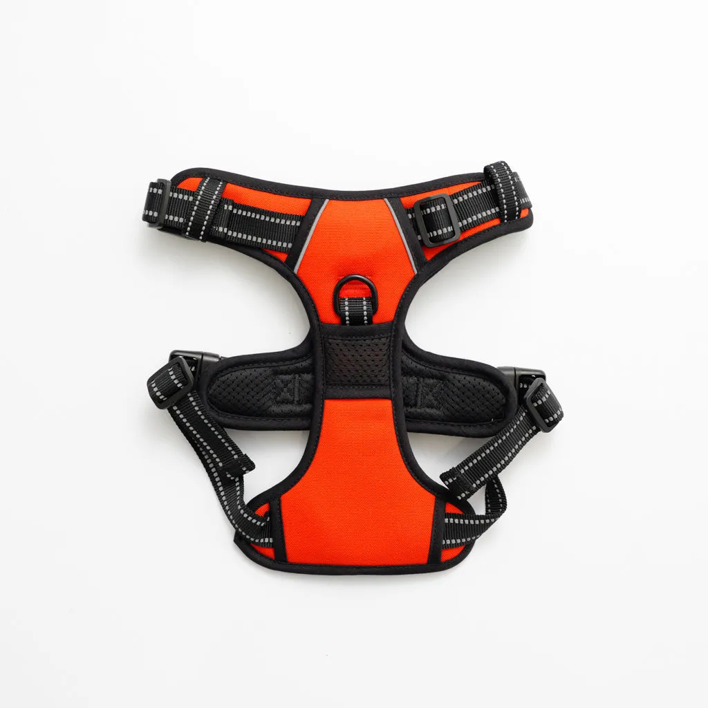 RunRuff Complete Set - Red